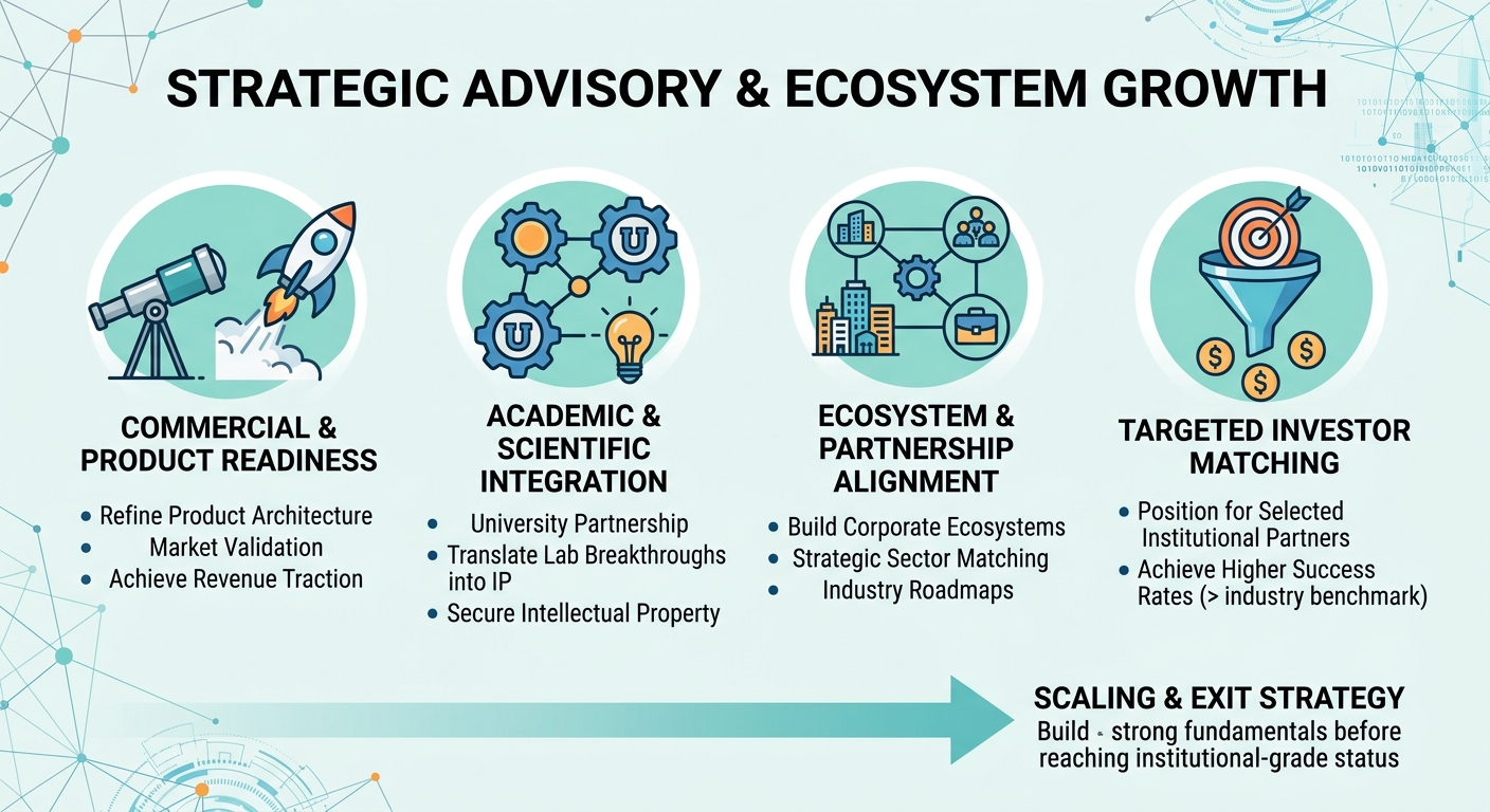 Strategic Advisory Beyond Traditional Venture Capital for Scale-Ups and Research Spin-Outs Algeria